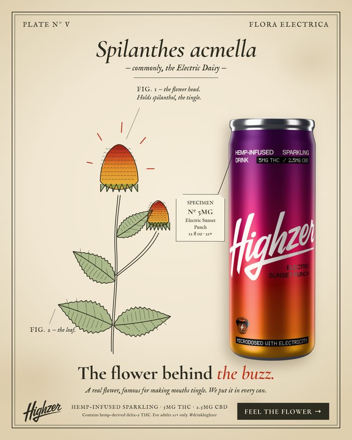 Ad: The flower behind the buzz